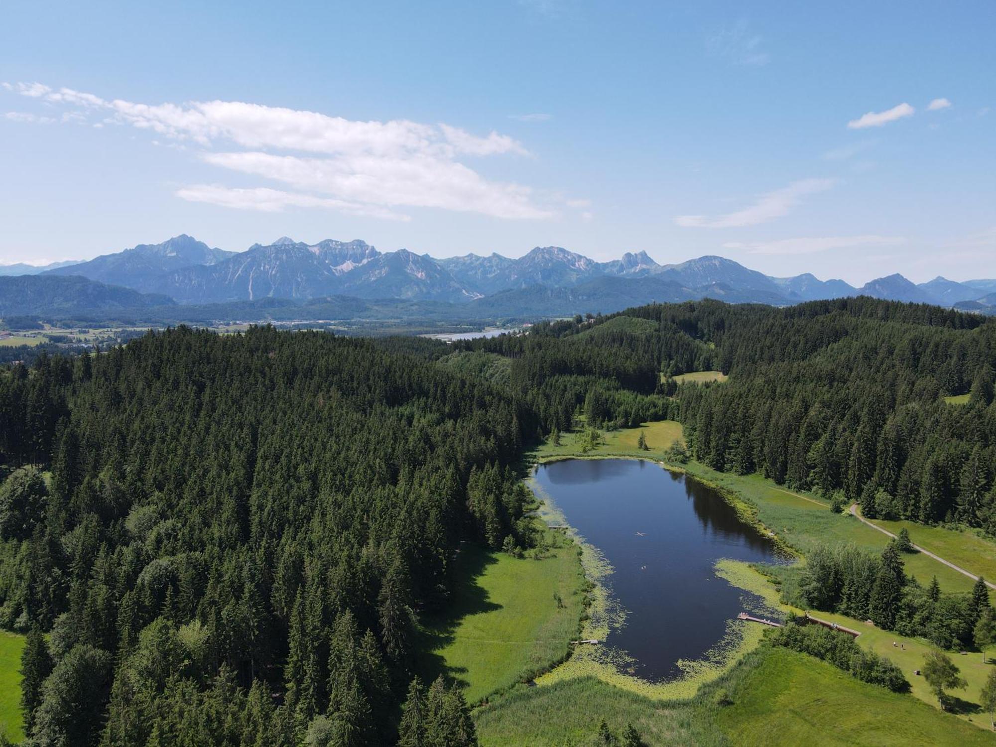 ריידן Chalet - Ferienwohnungen - Biohof Stoeger - Panoramasuedbalkon - Grandiose Aussicht Auf See, Berge Und Schloss Neuschwanstein מראה חיצוני תמונה
