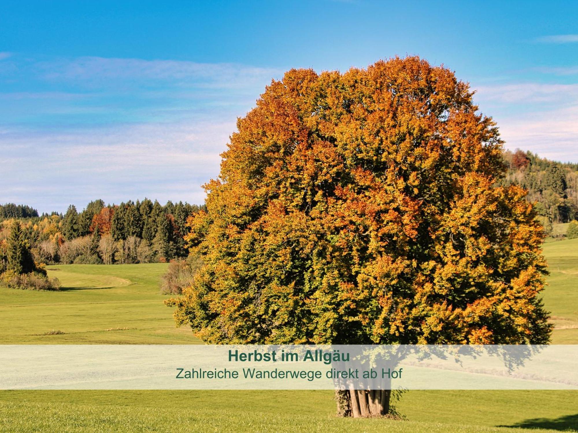ריידן Chalet - Ferienwohnungen - Biohof Stoeger - Panoramasuedbalkon - Grandiose Aussicht Auf See, Berge Und Schloss Neuschwanstein מראה חיצוני תמונה