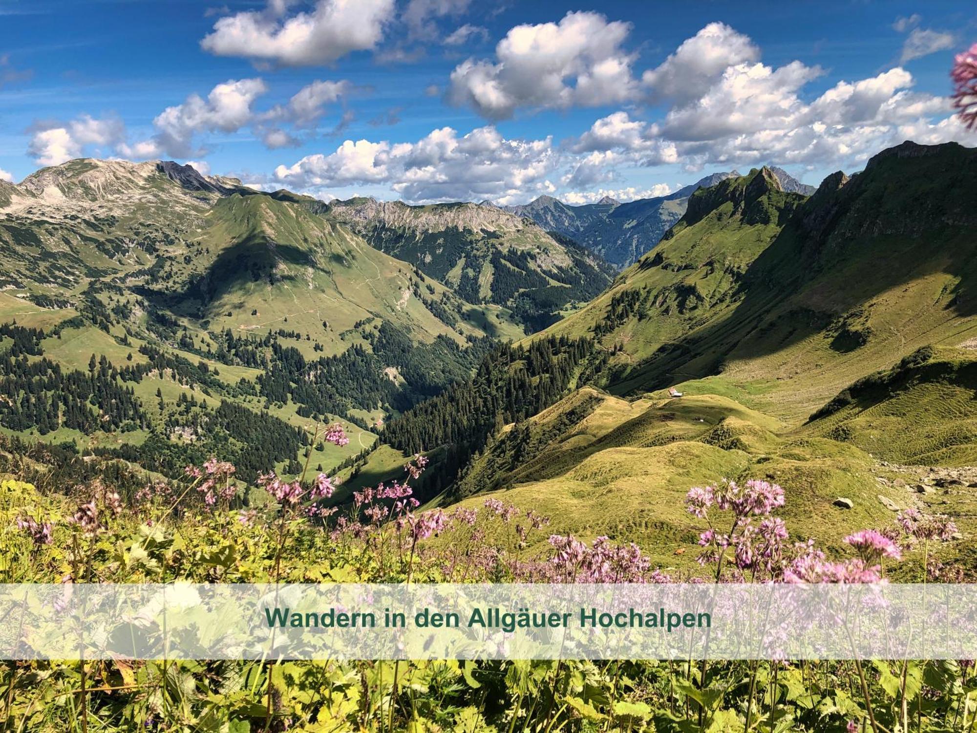 ריידן Chalet - Ferienwohnungen - Biohof Stoeger - Panoramasuedbalkon - Grandiose Aussicht Auf See, Berge Und Schloss Neuschwanstein מראה חיצוני תמונה