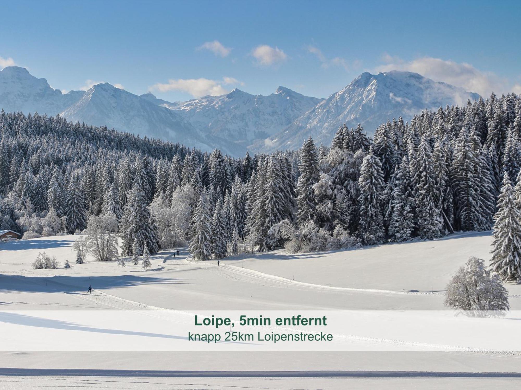 ריידן Chalet - Ferienwohnungen - Biohof Stoeger - Panoramasuedbalkon - Grandiose Aussicht Auf See, Berge Und Schloss Neuschwanstein מראה חיצוני תמונה