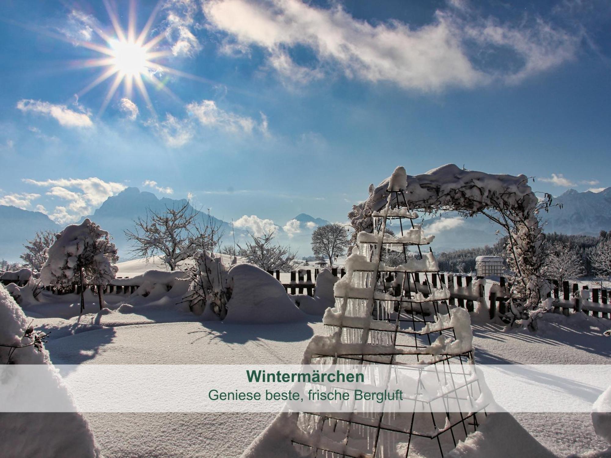 ריידן Chalet - Ferienwohnungen - Biohof Stoeger - Panoramasuedbalkon - Grandiose Aussicht Auf See, Berge Und Schloss Neuschwanstein מראה חיצוני תמונה